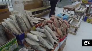 Extreme living Yakutsk Open Air Market at 45°C [upl. by Adnahc]