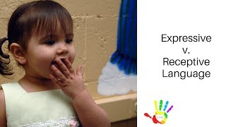 Receptive versus Expressive Language [upl. by Bullen]