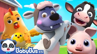 Canción de Granja  Canciones Infantiles  Videos para Niños  BabyBus en Español [upl. by Ettevol168]