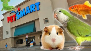 EXPLORING PETSMART  ANIMAL FRIENDS EVERYWHERE [upl. by Atinar]