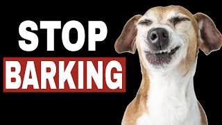 Sounds To Stop Dog Barking  HQ [upl. by Felise]