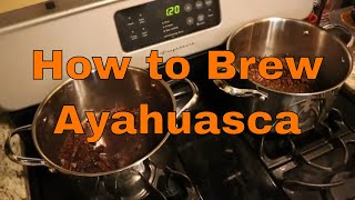 How to make Ayahuasca brew [upl. by Nylednarb803]