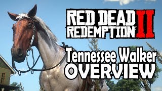 Red Dead Redemption 2 Horses  Tennessee Walker Overview [upl. by Rheims]