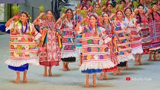 Espectacular Baile FLOR DE PIÑA  Guelaguetza 2019 [upl. by Yortal672]