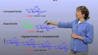 Glycans  Carolyn Bertozzi Berkeley [upl. by Anitac20]