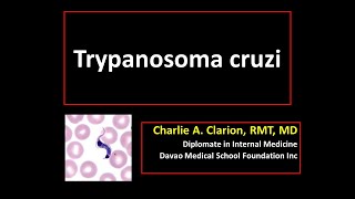 Trypanosoma cruzi [upl. by Raclima]