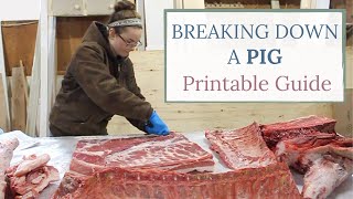 How To Butcher A Pig  Entire Breakdown PRINTABLE GUIDE [upl. by Dhaf]