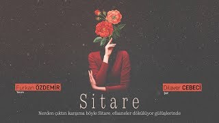 Sitare  Dilaver Cebeci [upl. by Toddie135]