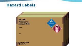 DG Training Module 4 – Marking amp Labelling [upl. by Nylekoorb983]