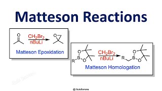 Matteson Reactions [upl. by Vyner480]