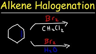 Halogenation of Alkenes amp Halohydrin Formation Reaction Mechanism [upl. by Yelkcub599]