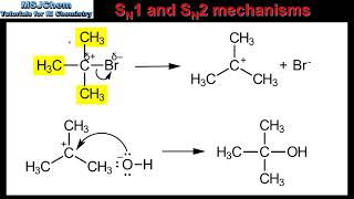 R349 SN1 and SN2 mechanisms HL [upl. by Ceporah262]