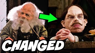 Why Professor Flitwick Looked SO Different  Harry Potter Explained [upl. by Onyx468]