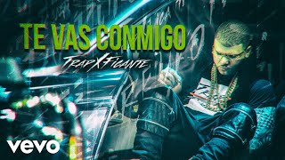 Farruko  Te Vas Conmigo Audio [upl. by Ailecnarf]