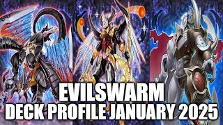 EVILSWARM DECK PROFILE JANUARY 2025 YUGIOH [upl. by Tuneberg963]