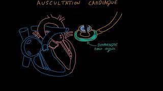 Auscultation cardiaque Partie 1 Introduction Docteur Synapse [upl. by Atimad]