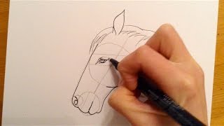 Beginners Lesson  How To Draw A Horse [upl. by Clie394]