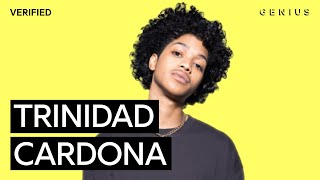 Trinidad Cardona “Dinero” Official Lyrics amp Meaning  Verified [upl. by Leno980]