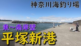 神奈川釣り場 平塚新港 南岸壁 東岸壁 サビキ釣り クロダイ アジング ルアー 夜釣り アジ カサゴ シーバス 堤防釣り MANCING MANIA JAPAN [upl. by Bernadine]