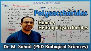 Polysaccharides  Complex Carbohydrates  Homopolysaccharide [upl. by Xenophon]