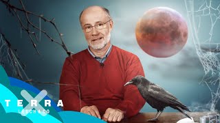 Wie entsteht ein Blutmond  Harald Lesch [upl. by Hafeenah]