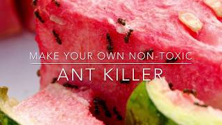 Make Your Own Non Toxic Ant Killer [upl. by Ynatirb978]