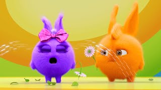 Sunny Bunnies  My Flower   SUNNY BUNNIES COMPILATION  Videos For Kids [upl. by Otreblasiul837]