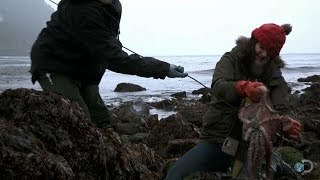 The Hunt for Elusive Octopus  Alaska The Last Frontier [upl. by Frankie]