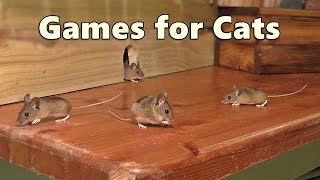 Cat Games  Mouse Watch TV  Mice for Cats to Catch 🐭 [upl. by Livvie]