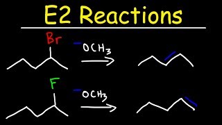 E2 Reaction Mechanism  Hoffman Elimination vs Zaitsevs Rule [upl. by Annatnom]