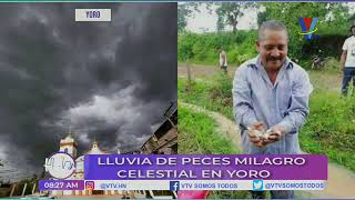 Lluvia de peces Milagro celestial en Yoro [upl. by Thurman]