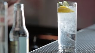 How to Make the Gin amp Tonic  Liquorcom [upl. by Pergrim]