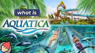 Aquatica Orlando Overview [upl. by Nohsyar]