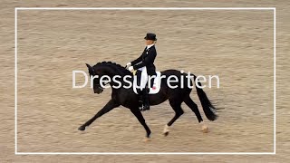 Vorgestellt Dressurreiten [upl. by Siobhan]