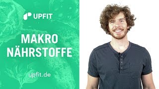 Makronährstoffe – Kohlenhydrate Fett und Eiweiß Grundlagen [upl. by Farrica297]