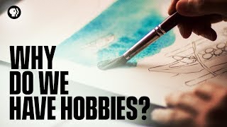 Why Do We Have Hobbies [upl. by Mutat63]