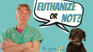 Problems With Euthanasia [upl. by Ennaeerb]