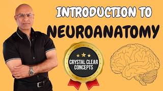 Intro to Neuroanatomy  Neurophysiology  Neuroscience  Central Nervous System [upl. by Letta]