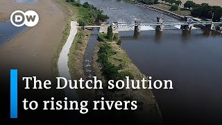 Flood protection in the Netherlands  Focus on Europe [upl. by Farland]