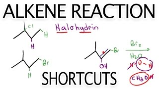 Alkene Reaction Shortcuts and Products Overview by Leah Fisch [upl. by Leirrad109]