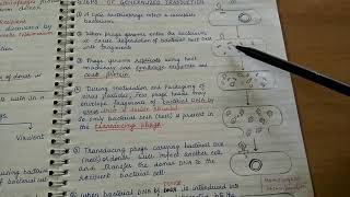 Transduction Genetic recombination in bacteria [upl. by Theis]