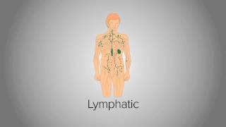 Organ System Overview [upl. by Halilad]