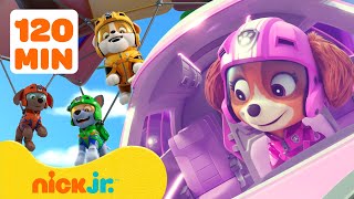 PAW Patrol Air Rescue Adventures 3 w Rocky 🚁 120 Minutes  Nick Jr [upl. by Wilmer]