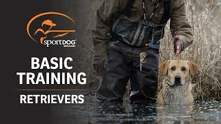 Basic Training  Retrievers [upl. by Aillij]