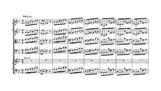 Johann Sebastian Bach  Keyboard Concerto No 1 in D minor BWV 1052 [upl. by Jacinta132]