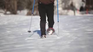 HowtoSnowshoe Learn the basics from the experts  LLBean [upl. by Eigroeg778]