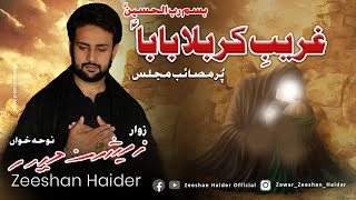 Irfan Haider  Bazar E Shaam Zainab  1440  2018  Noha Shahdat Bibi Zainab sa [upl. by Gusella]