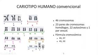 Anomalías cromosómicas Parte 1  Profundizaciones [upl. by Metzgar179]