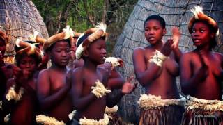 Beautiful Traditional African Zulu Dancing Africa Travel Channel [upl. by Joslyn610]