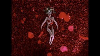 American Beauty 1999  Arose scene 1080 [upl. by Goodman336]